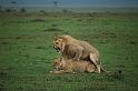 Still mating
